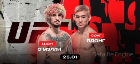 션 오말리 vs 송야동